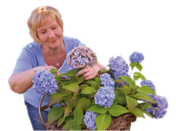 Christiane Maute, Homöopathie für Pflanzen